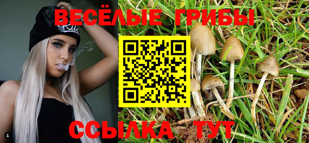 Галлюциногенные грибы прущие грибы Строитель